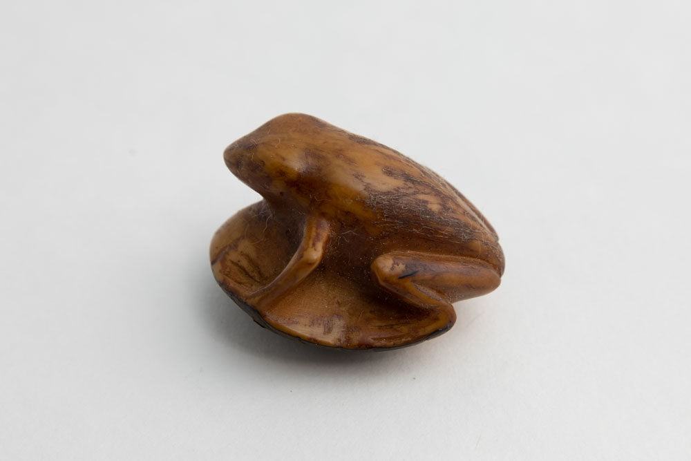 Vintage Wounaan Indian Dyed Frog Tagua Carving