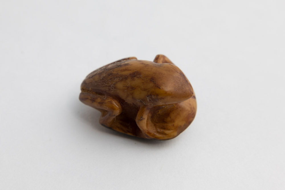 Vintage Wounaan Indian Dyed Frog Tagua Carving