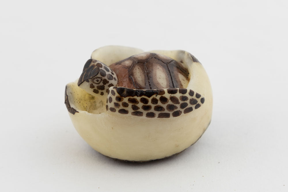 Wounaan Gorgeous Sea Turtle Tagua Nut Hand Carved