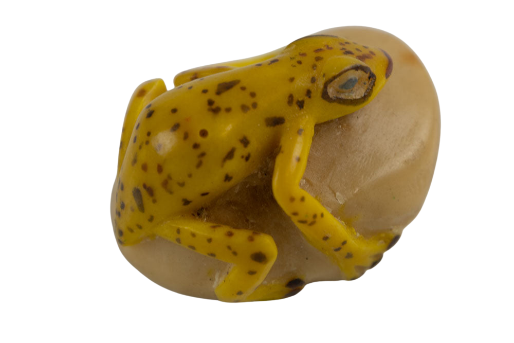 Wounaan Indian Golden Oldie Frog Tagua Nut Carving