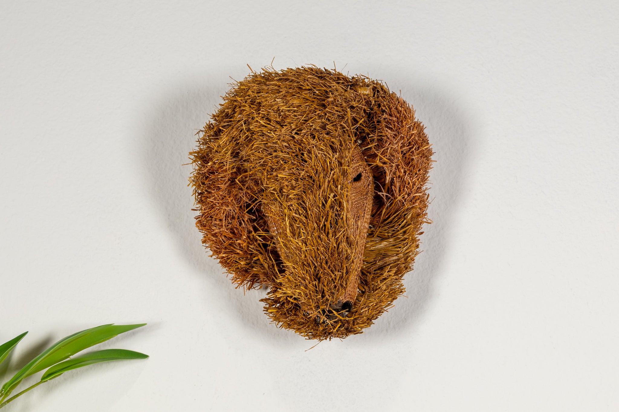 Brown Labradoodle Dog Mask