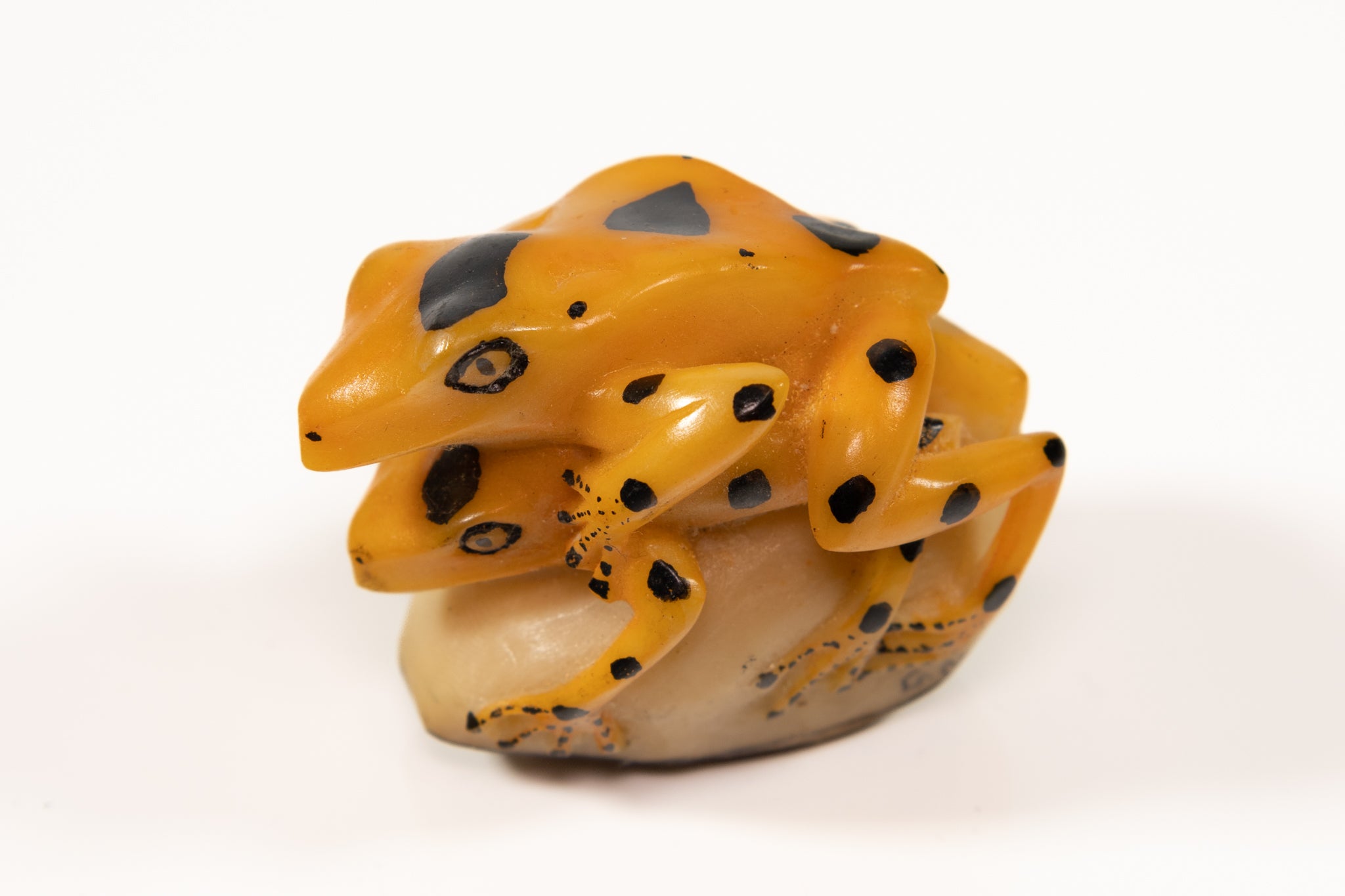Panamanian Golden Frog Tagua Carving