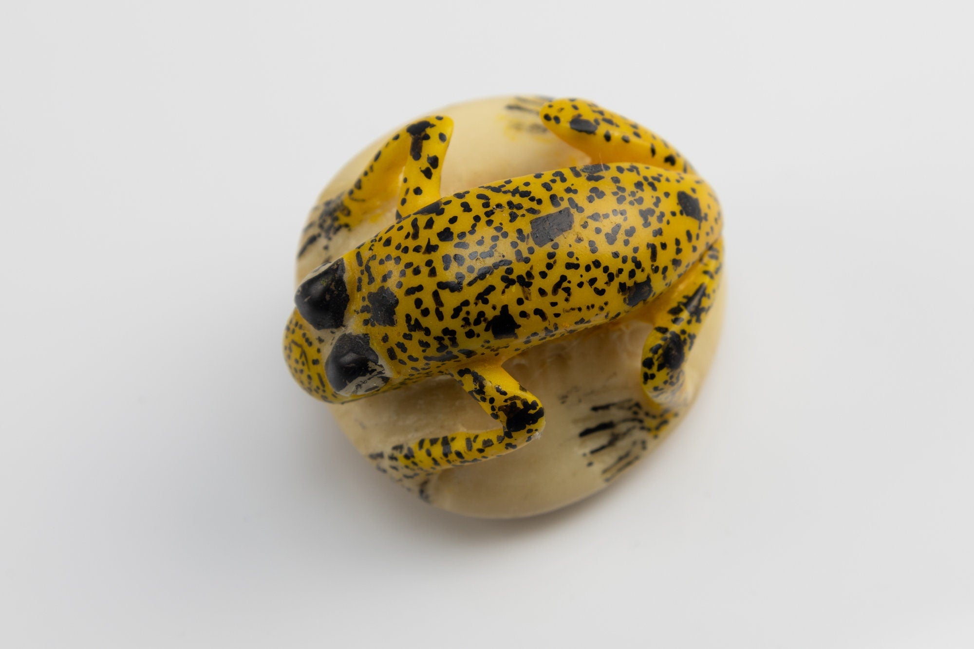 Hand Carved Tagua Nut Frog