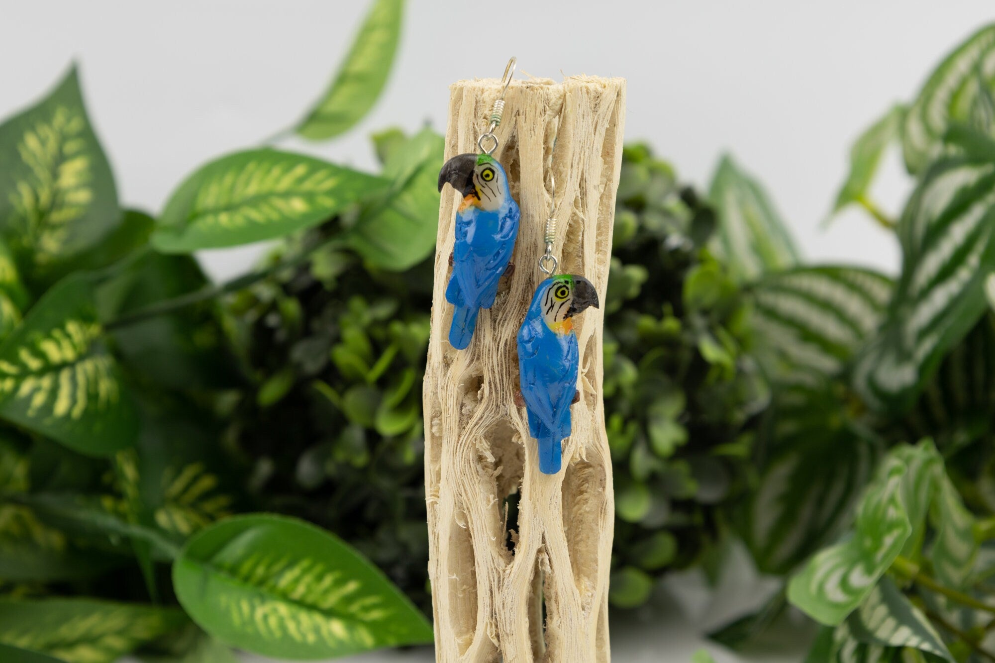 Hand Carved Macaw Parrot Earrings Panama