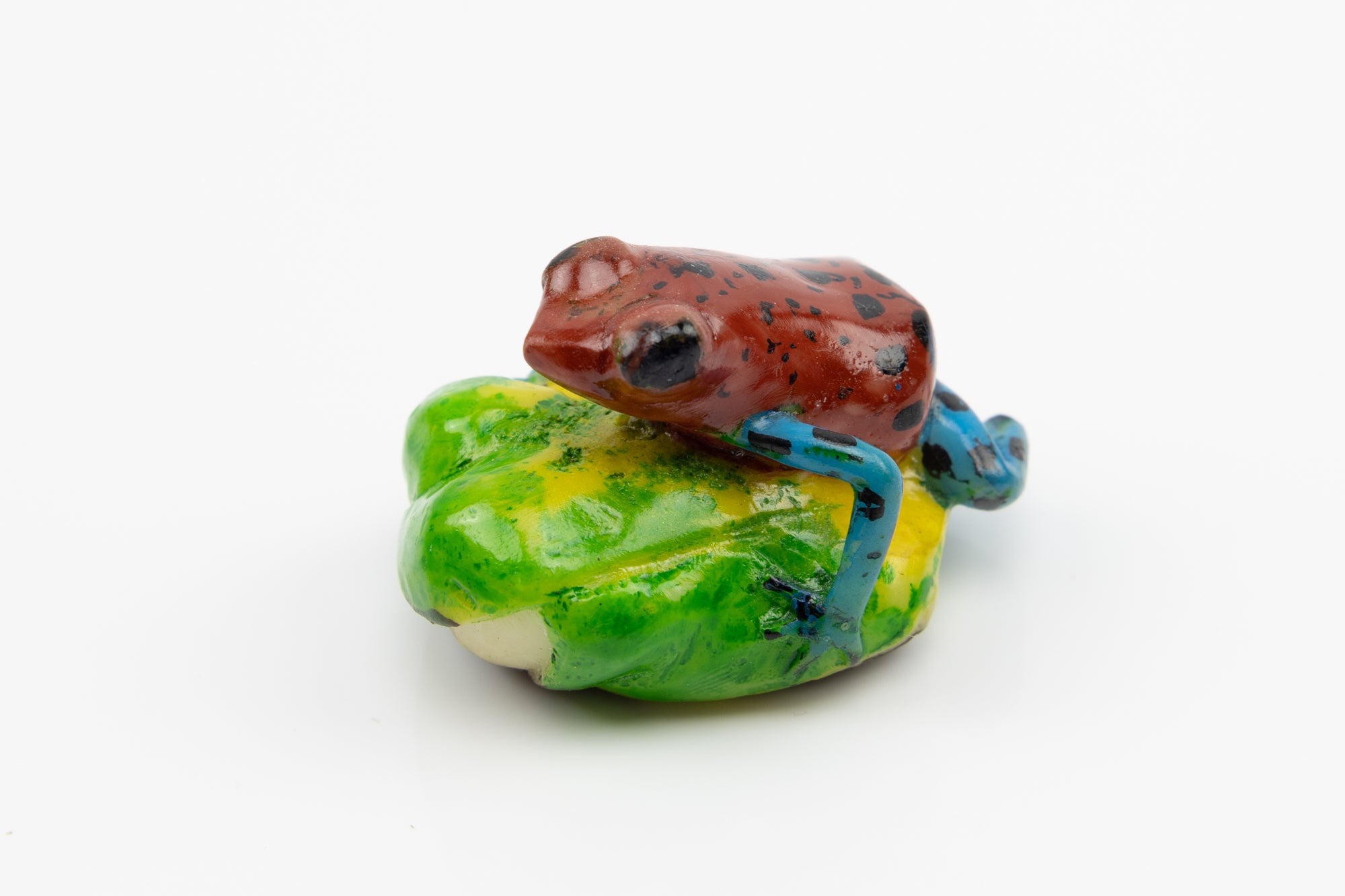 TAGUA