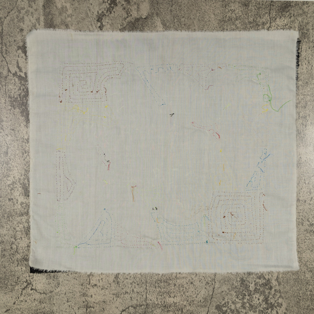 Fantasy Blue Yellow And Red Parrot Bird Mola