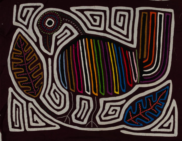 Burgundy And White Rainforest Bird Mola