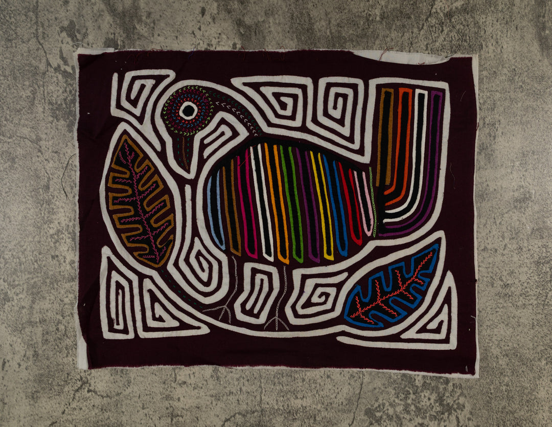 Burgundy And White Rainforest Bird Mola