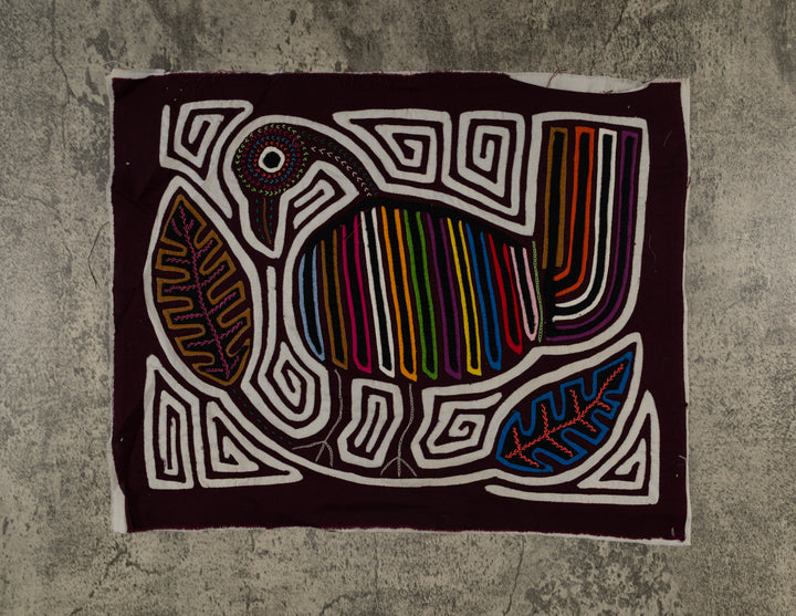 Burgundy And White Rainforest Bird Mola