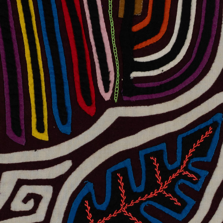 Burgundy And White Rainforest Bird Mola