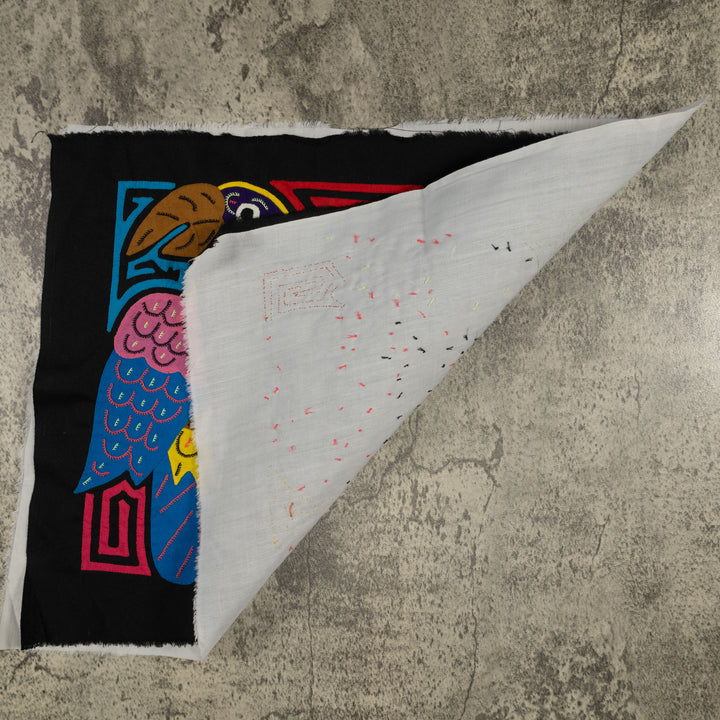 Fantasy Pink Yellow And Blue Two Toucan Oarrot Bird Mola