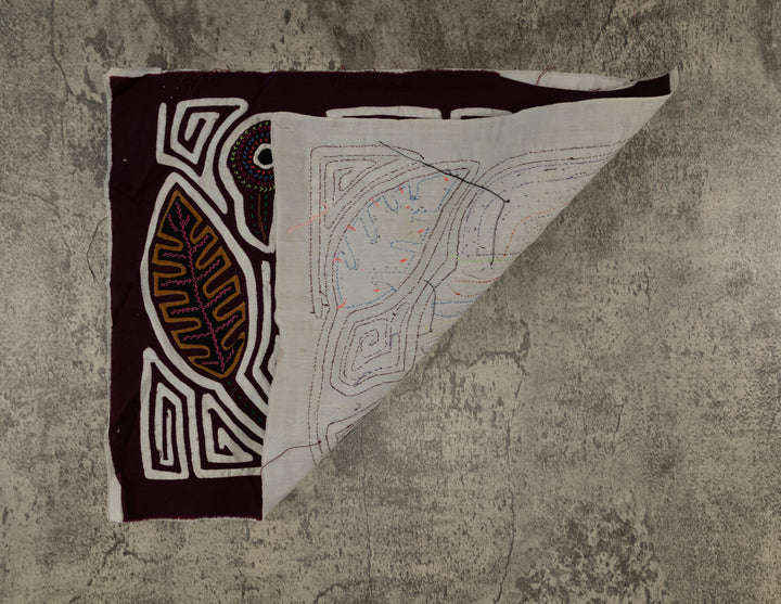 Burgundy And White Rainforest Bird Mola