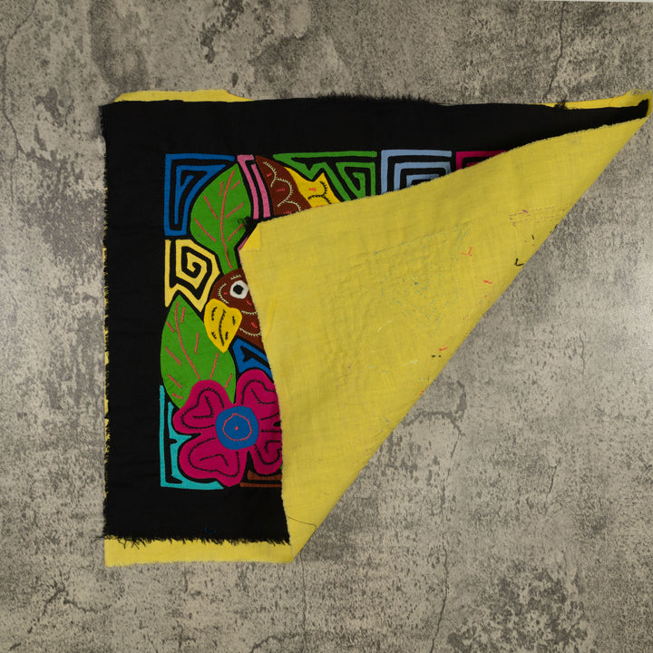 Fantasy Brown And Yellow Parrot Bird Mola