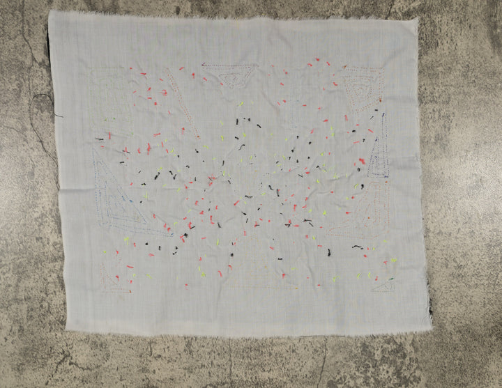 Fantasy Blue And Pink Two Toucan Bird Mola