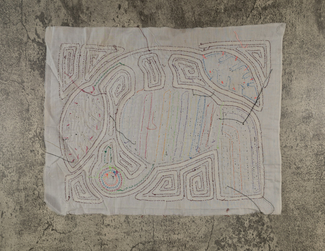 Burgundy And White Rainforest Bird Mola