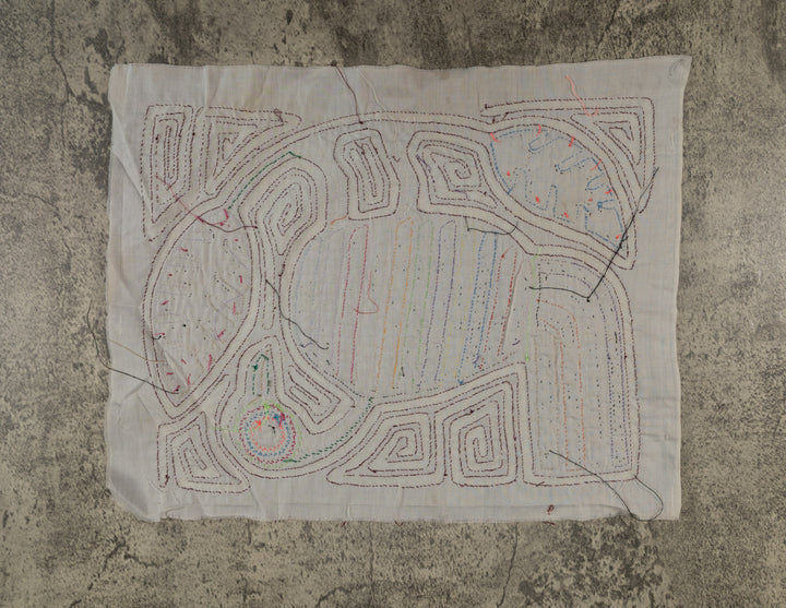 Burgundy And White Rainforest Bird Mola