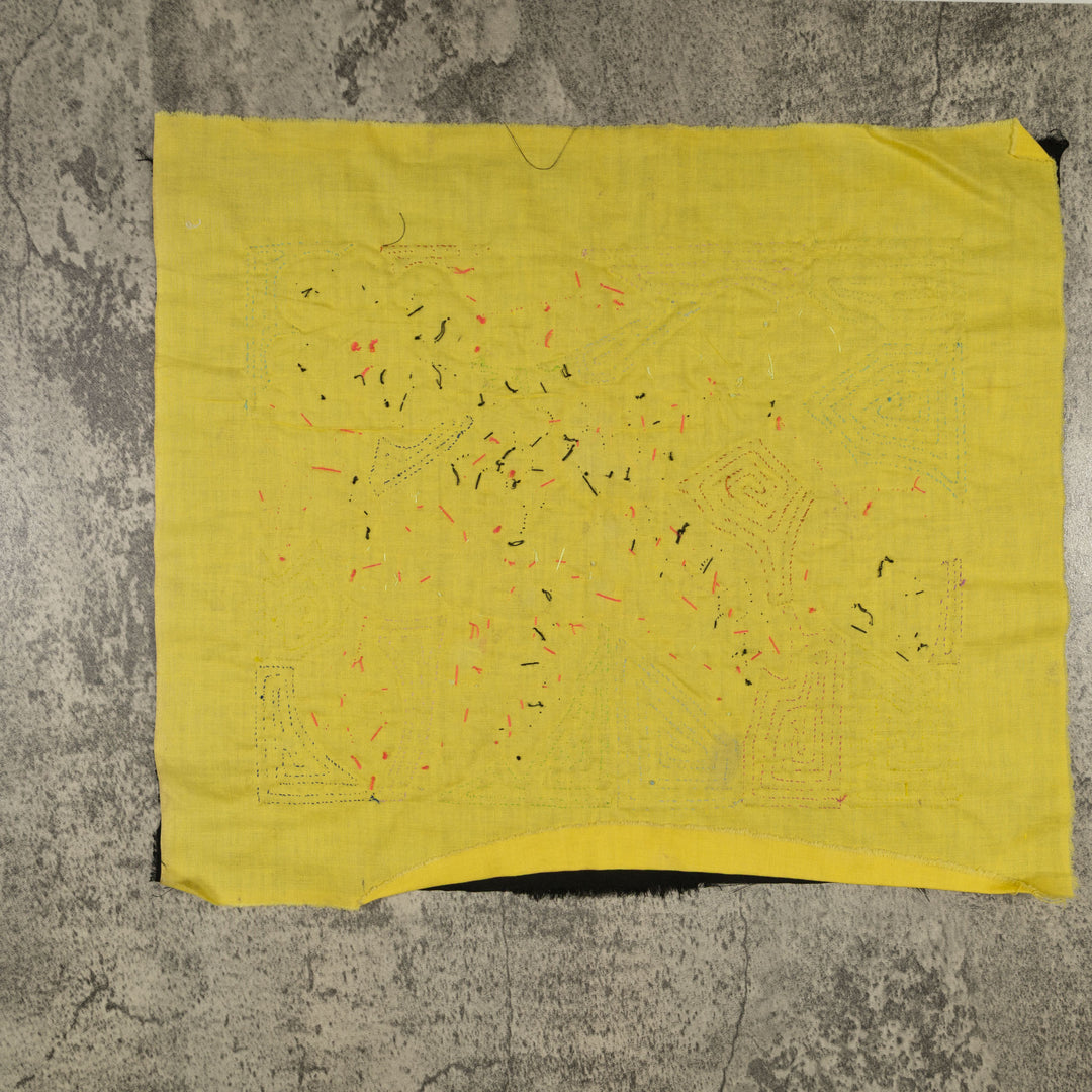 Fantasy Brown And Yellow Parrot Bird Mola