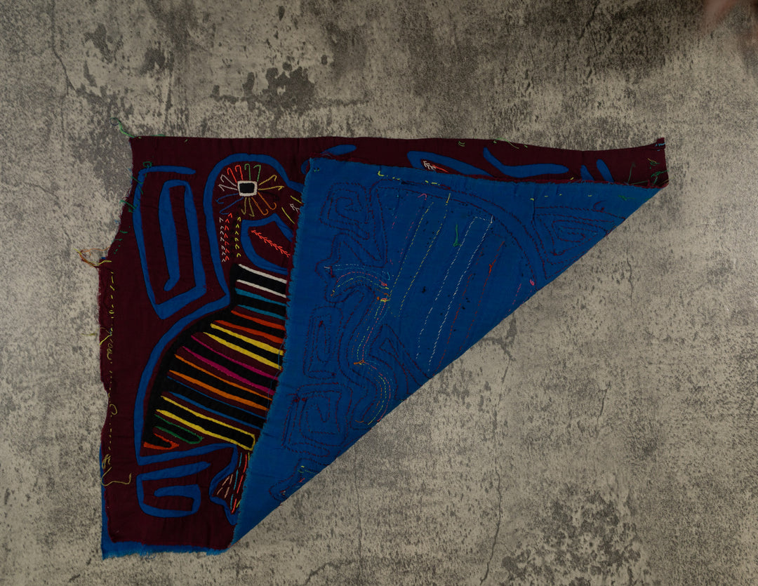 Maroon And Blue Squawking Bird Mola