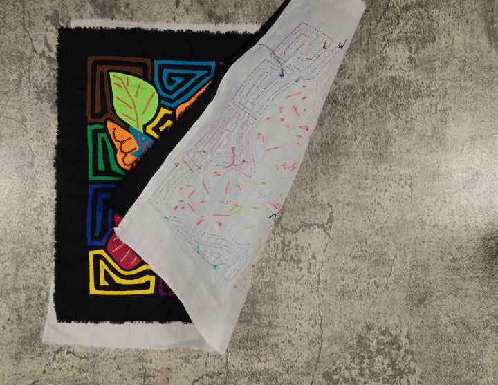 Colorful Hummingbird Feeding on Flower Mola