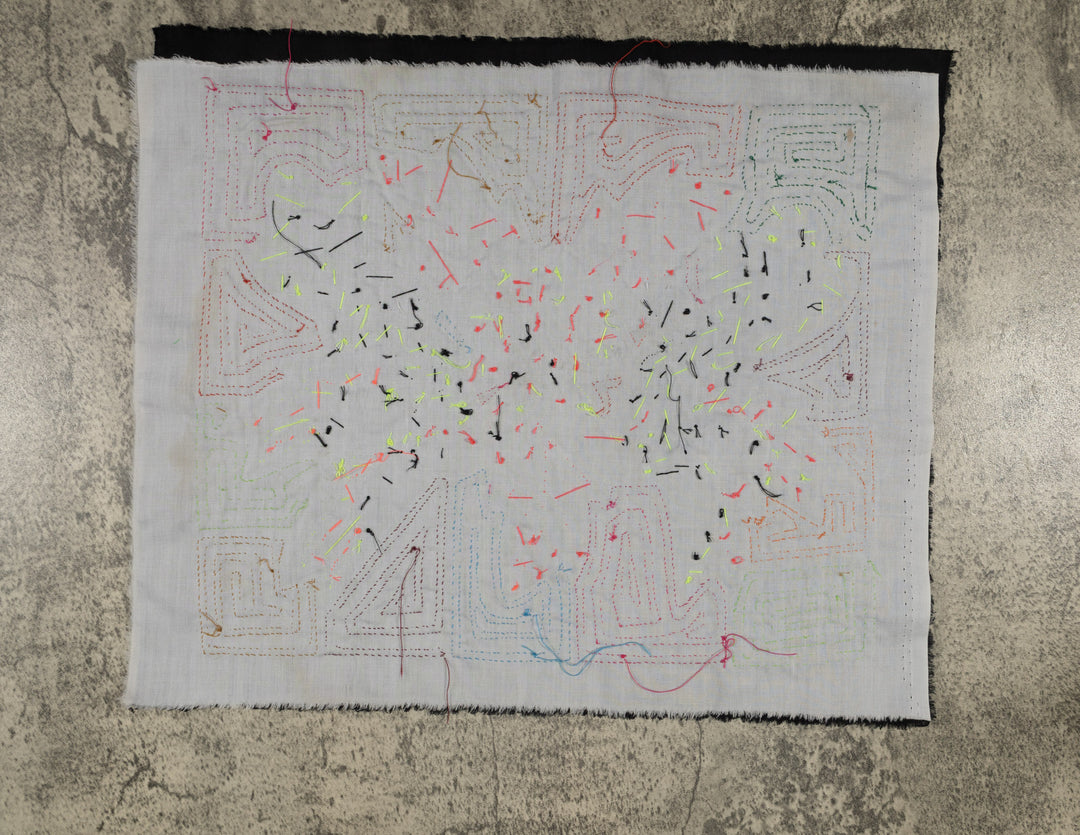 Fantasy Pink And Blue Two Hummingbird Mola