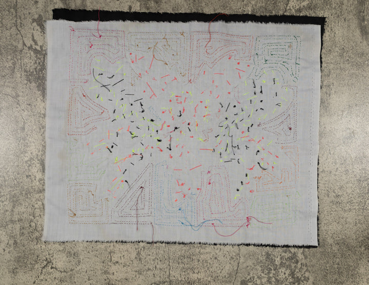 Fantasy Pink And Blue Two Hummingbird Mola