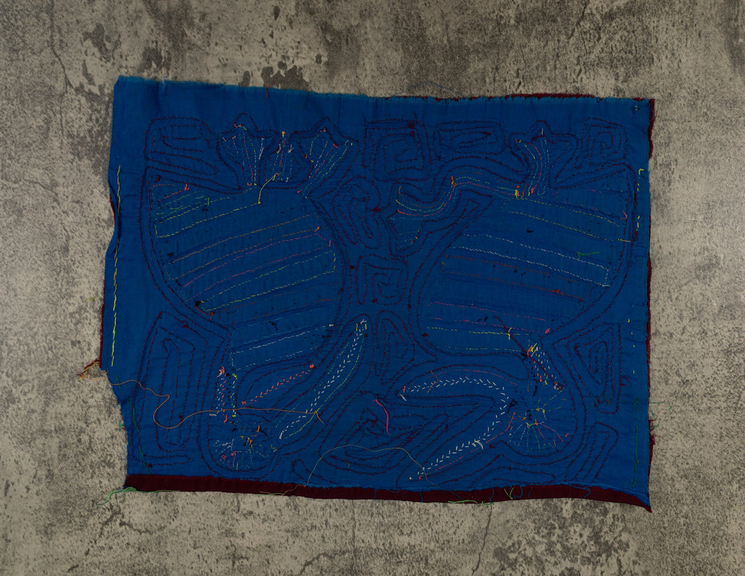 Maroon And Blue Squawking Bird Mola