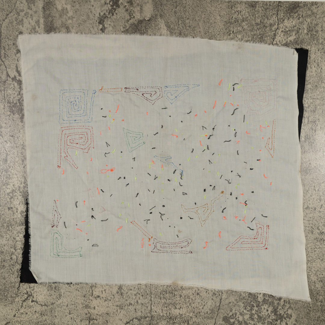 Fantasy Blue Red And Yellow Two Parrot Mola