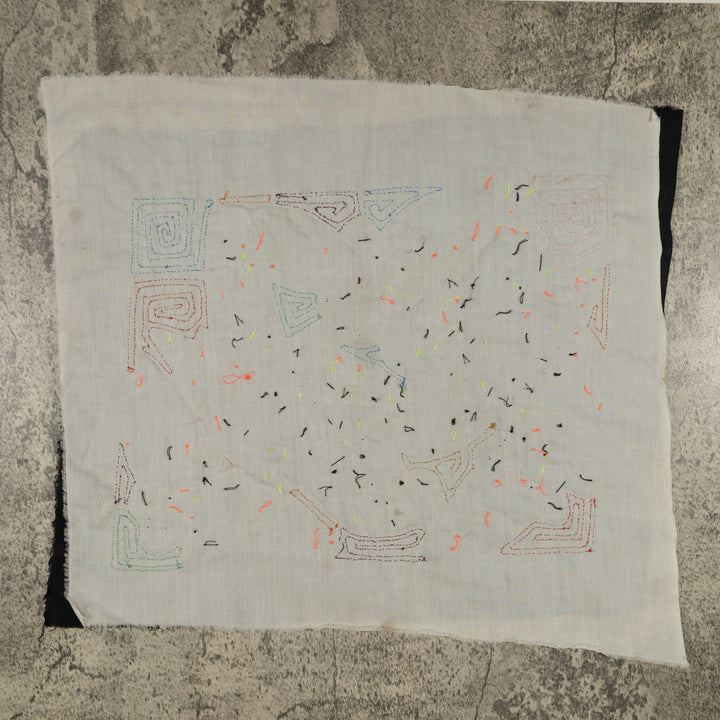 Fantasy Blue Red And Yellow Two Parrot Mola