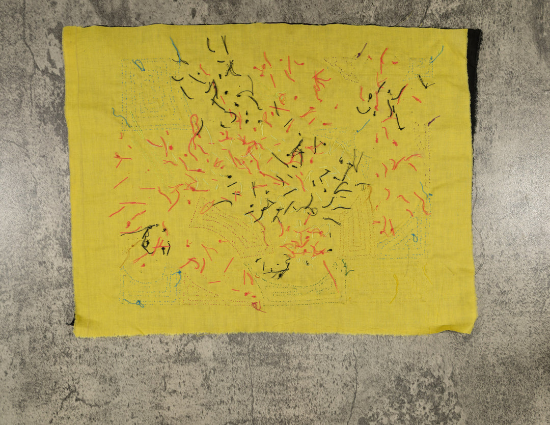 Fantasy Red Blue And Yellow Toucan Bird Mola