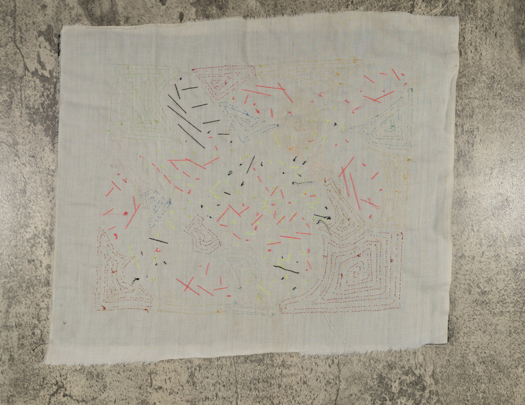 Fantasy Pink And Purple Parrot Bird Mola