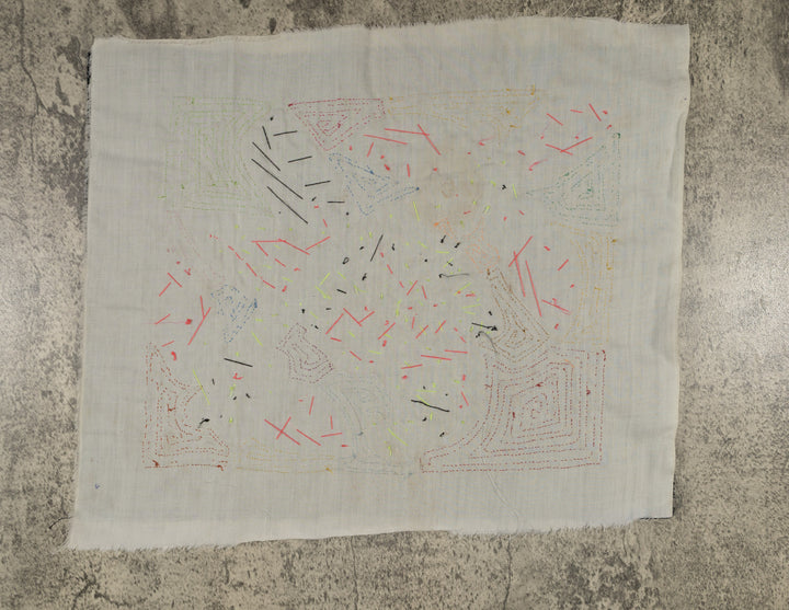 Fantasy Pink And Purple Parrot Bird Mola