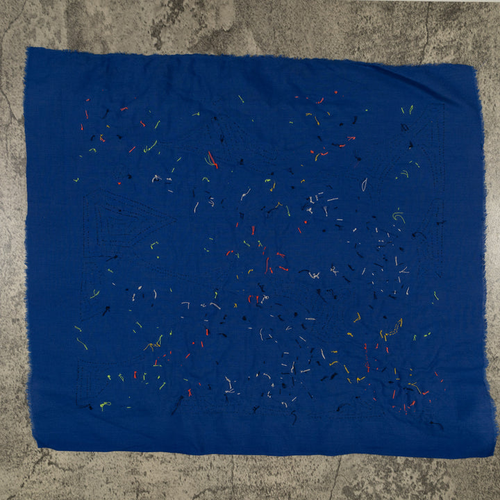 Fantasy Blue Red And Yellow Two Parrot Mola