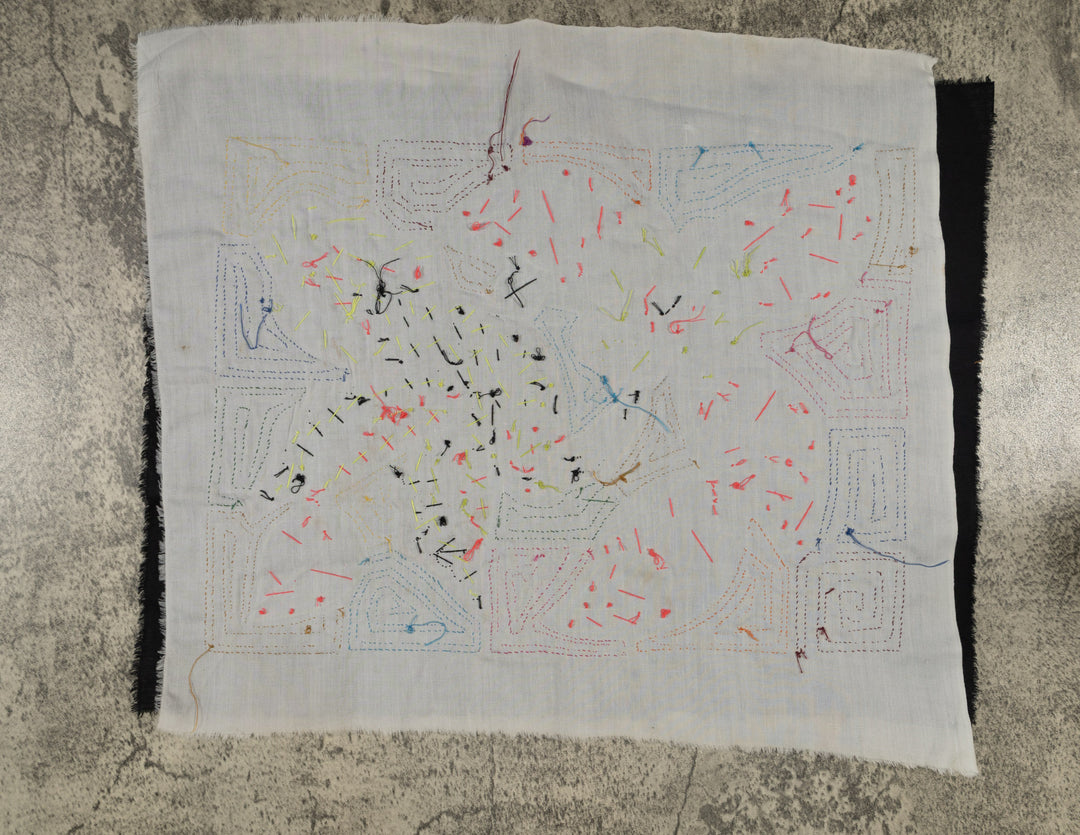 Colorful Hummingbird Feeding on Flower Mola