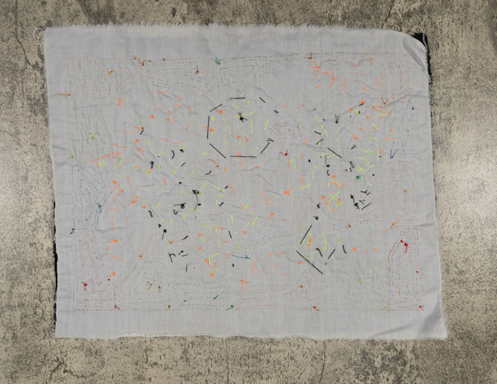 Fantasy Orange And Blue Two Parrot Bird Mola