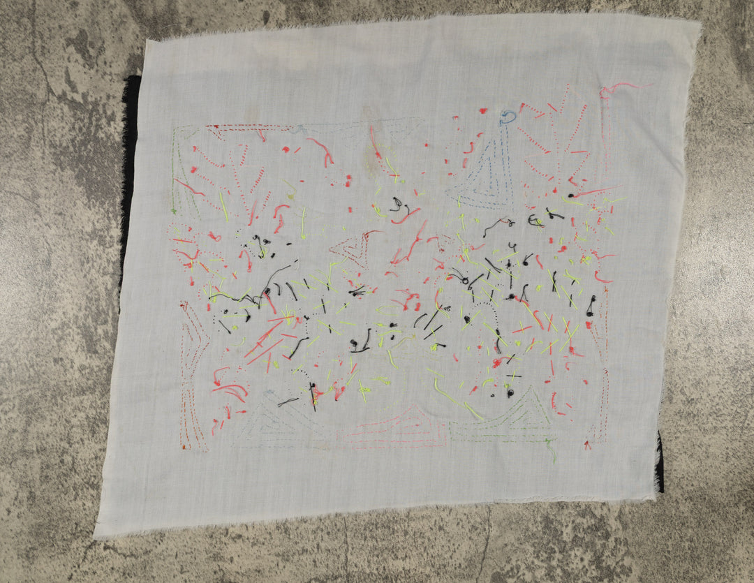 Fantasy Pink And Blue Two Parrot Bird Mola