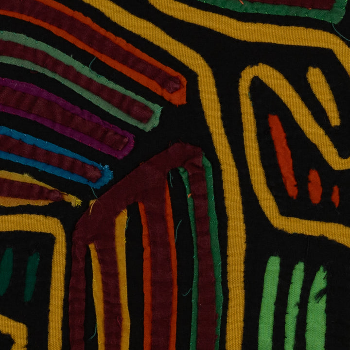 Black And Gold Rainforest Bird Mola