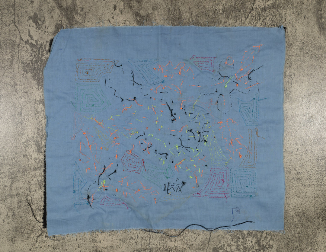 Fantasy Red And Blue Toucan Bird Mola