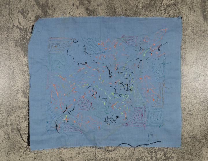 Fantasy Red And Blue Toucan Bird Mola