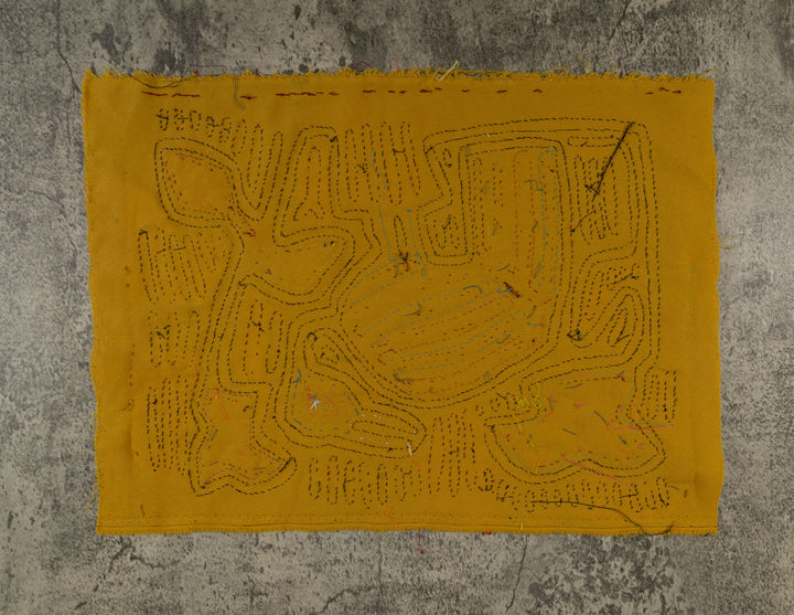 Black And Gold Rainforest Bird Mola