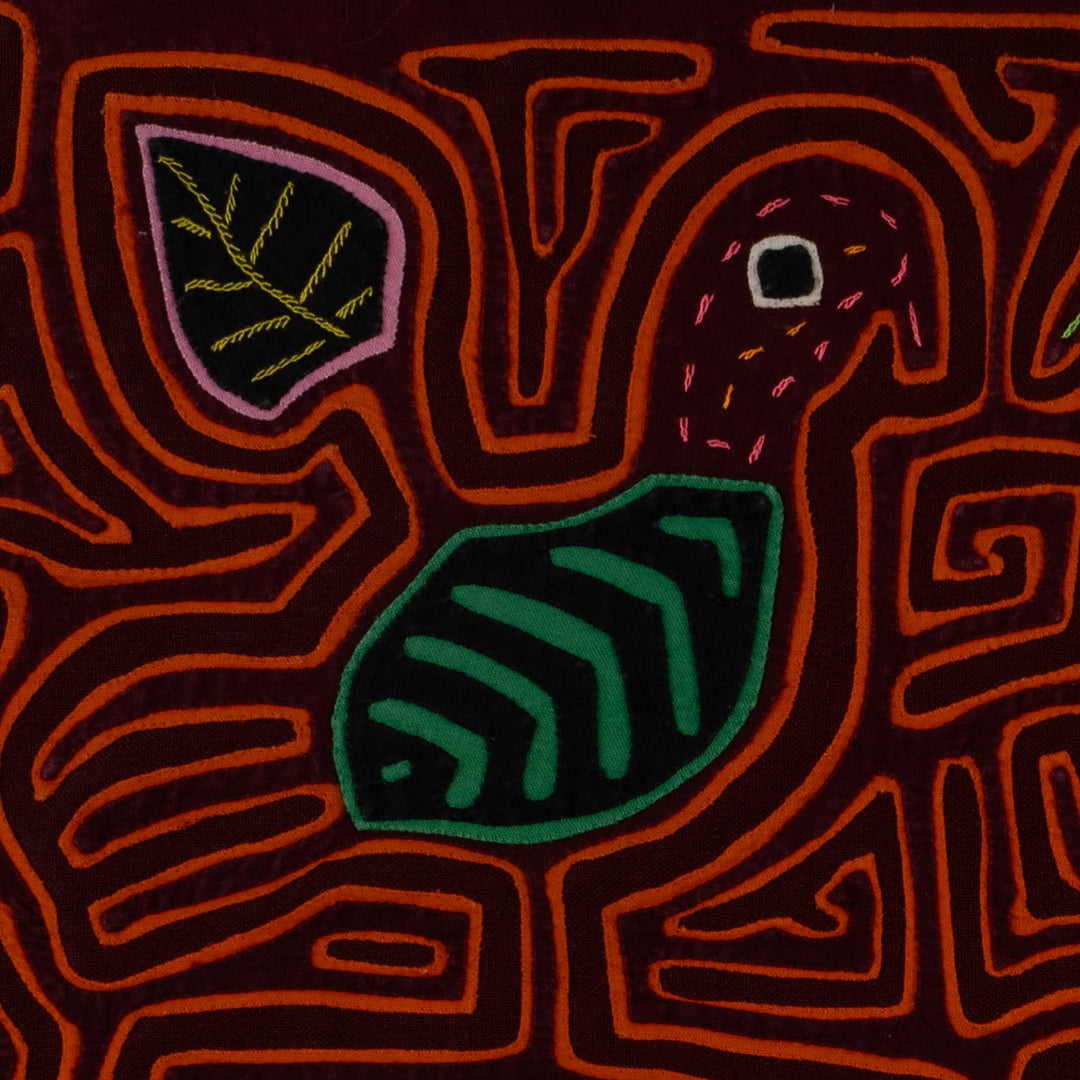 Maroon And Orange Lovebird Mola