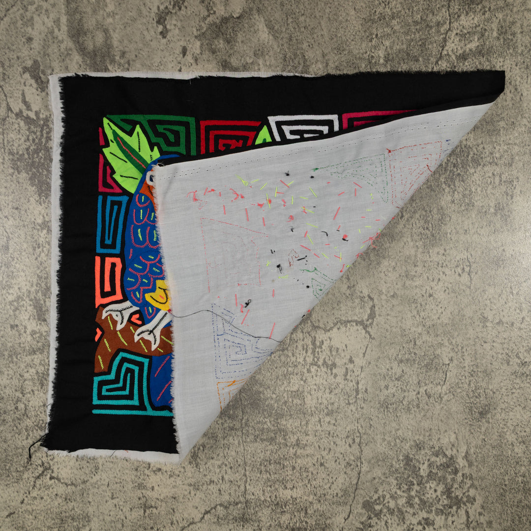 Fantasy Red Blue And Yellow Two Toucan Bird Mola