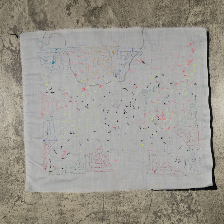 Fantasy Red Blue And Yellow Two Toucan Bird Mola