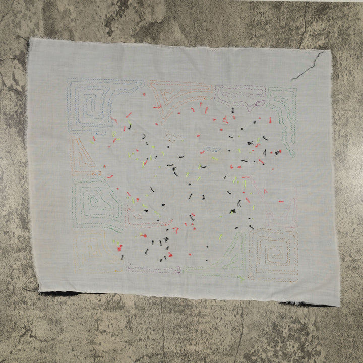 Fantasy Pink And Blue Toucan Parrot Bird Mola