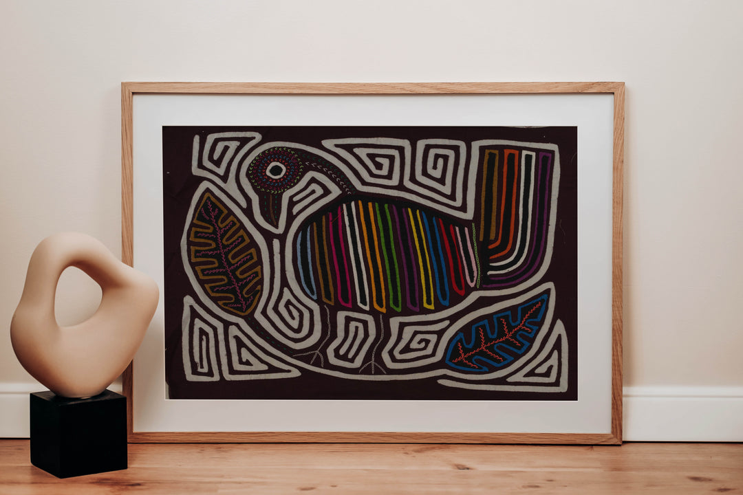 Burgundy And White Rainforest Bird Mola