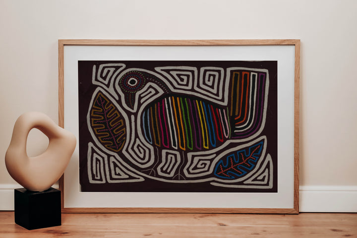 Burgundy And White Rainforest Bird Mola