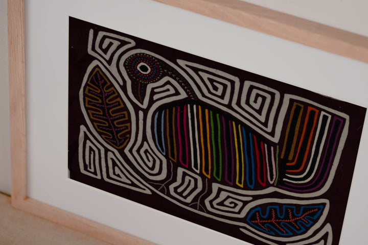 Burgundy And White Rainforest Bird Mola