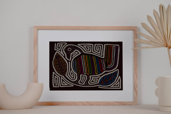 Burgundy And White Rainforest Bird Mola