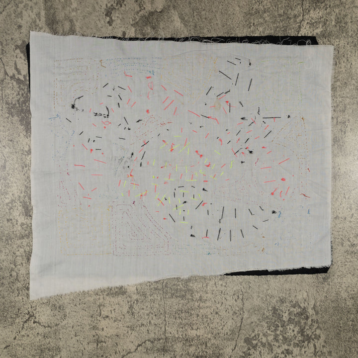 Fantasy Red Blue And Yellow Toucan Bird Mola