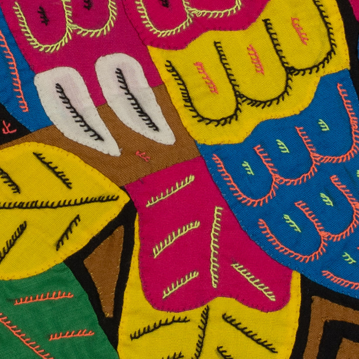 Fantasy Red Blue And Yellow Two Toucan Bird Mola