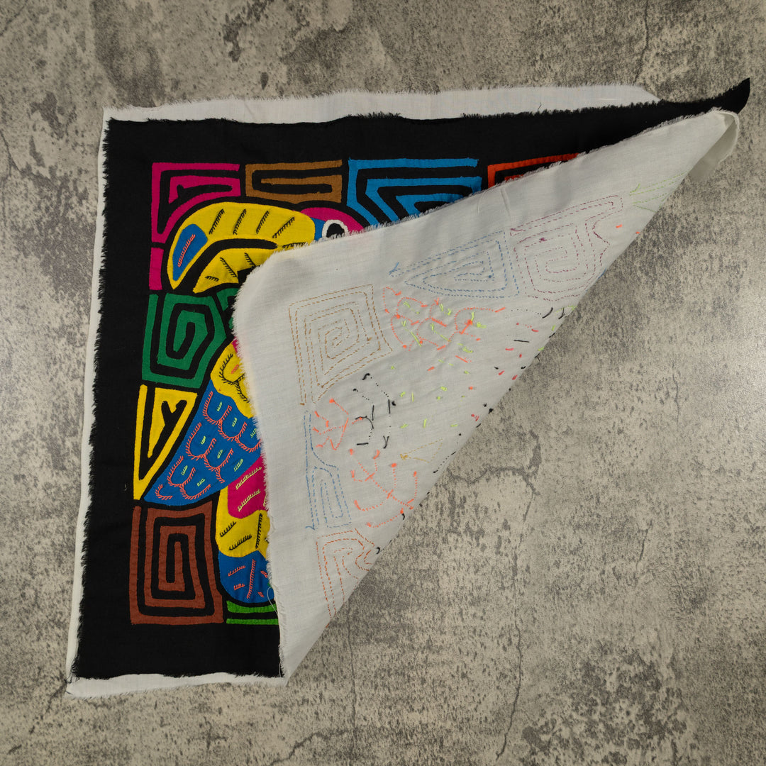 Fantasy Red Blue And Yellow Two Toucan Bird Mola